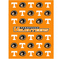 Tennessee Volunteers iPad Cleaning Cloth